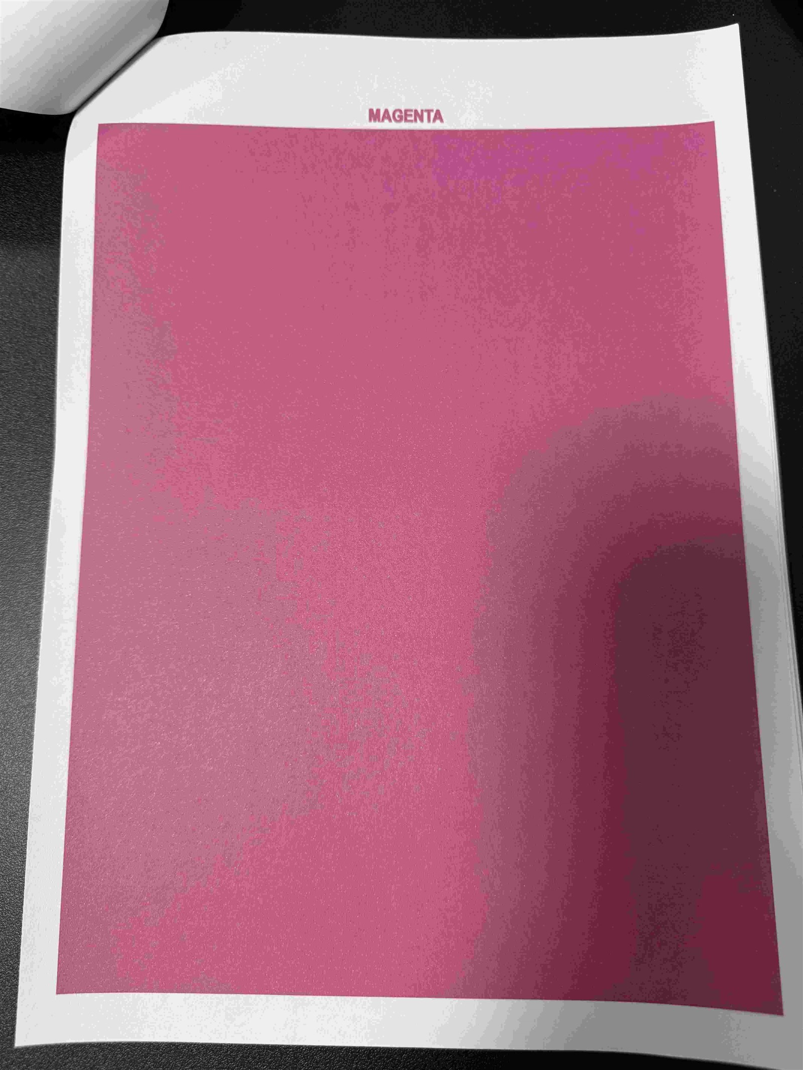 riso 6 riso 6
