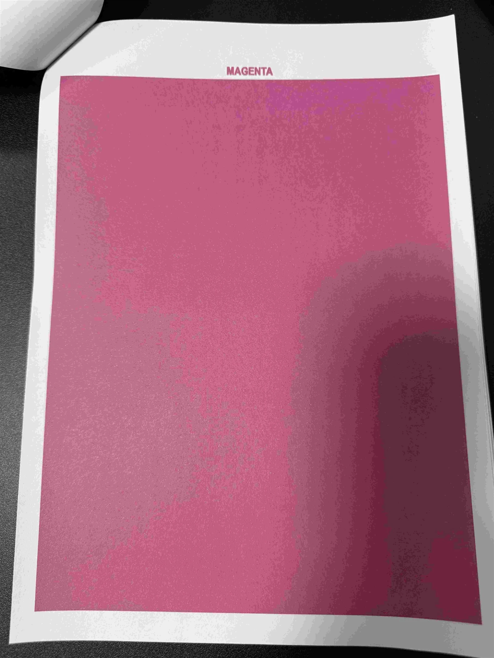riso 6 riso 6